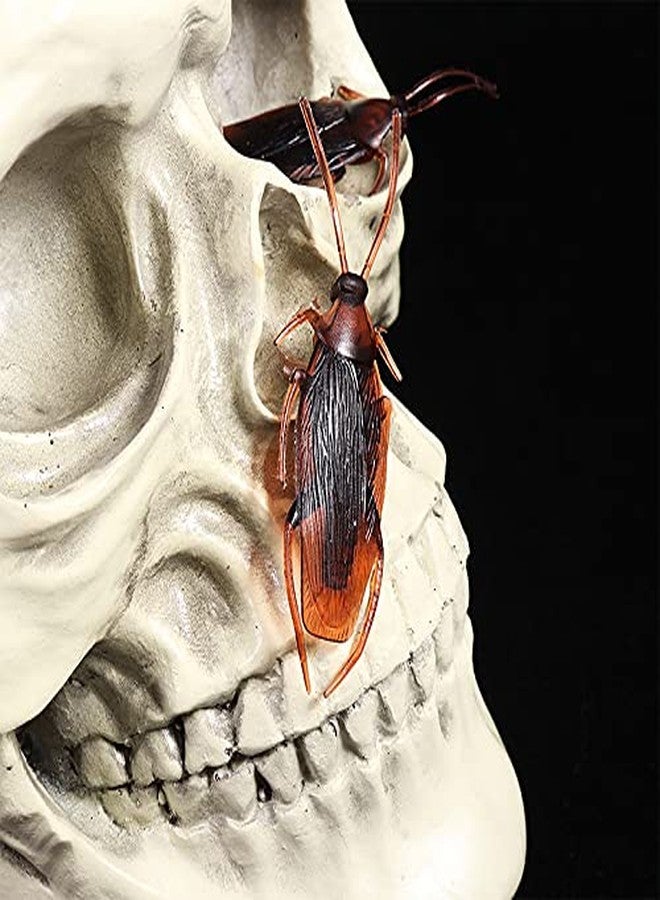 Fibroxify 5pcs Realistic Fake Cockroaches for Halloween Prank, Home Decor, Party Props - Image 4